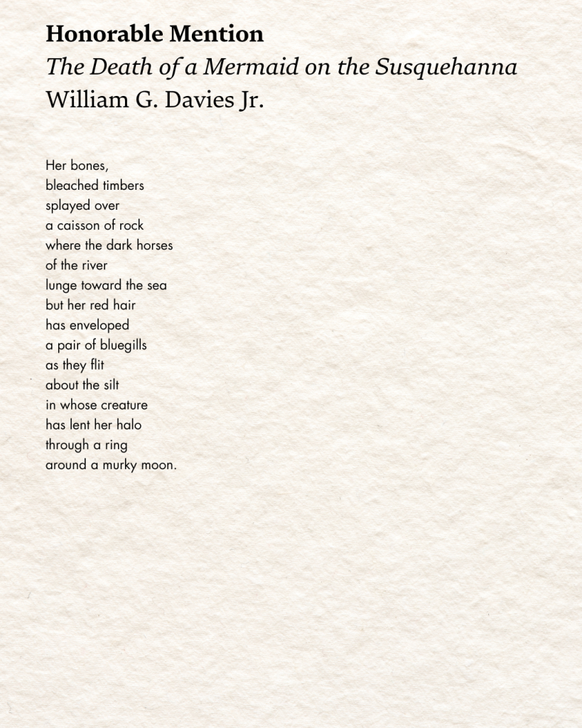 HonorableMention1_The Death of a Mermaid_William G. Davies Jr.