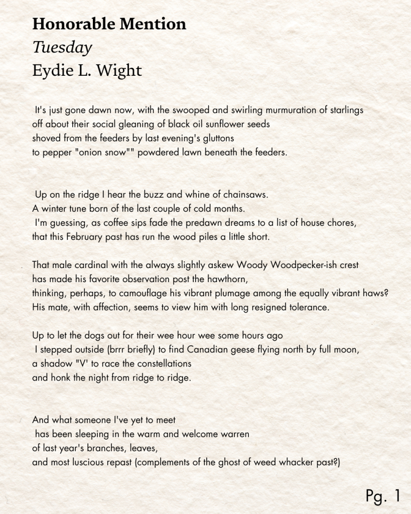 HonorableMention3_Tuesday_Eydie L. Wight_pg1